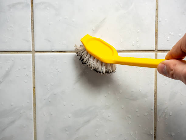 Best Mold Remediation  in Colfax, LA