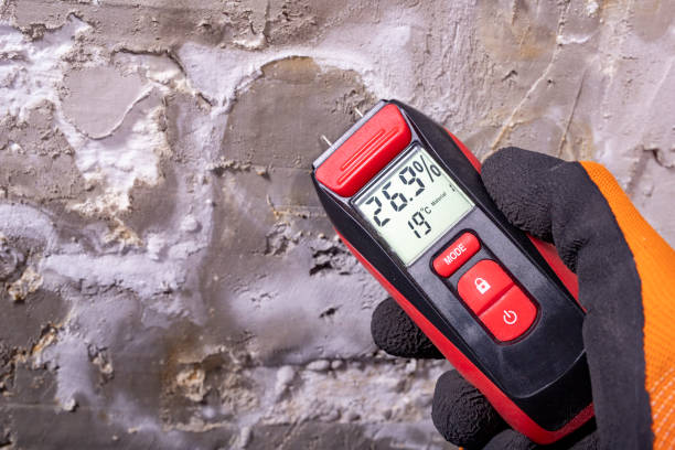 Best Mold Remediation Services  in Colfax, LA