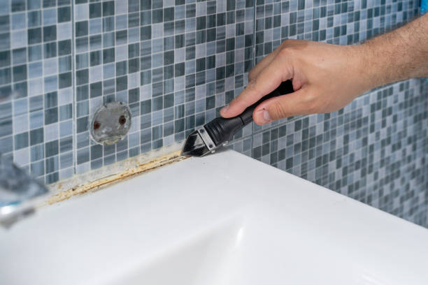 Best Local Mold Removal Service  in Colfax, LA