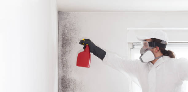 Best Professional Mold Removal  in Colfax, LA